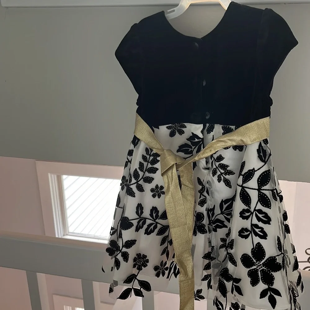 Toddler girl special occasion dress - Picture 4 of 4